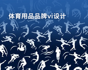 体育品牌vi设计